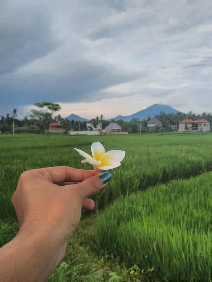 Svaha Ubud Exteriér fotografie